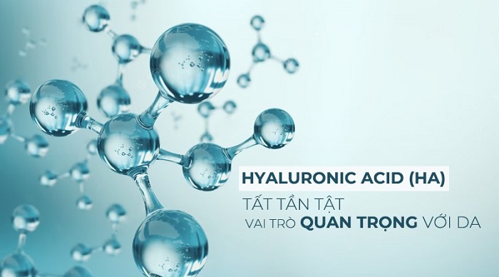 Hyaluronic Acid là gì? Cơ chế hoạt động và tác dụng Hyaluronic Acid đối với làn da