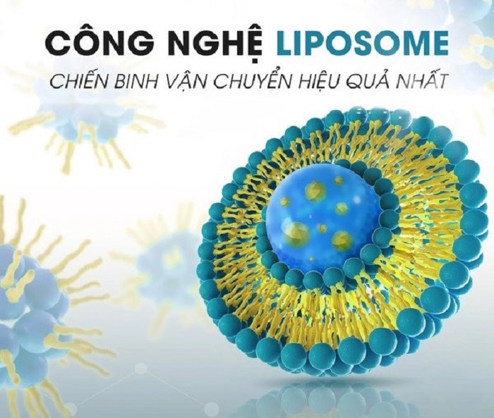 Công nghệ Exosome kết hợp Liposome Công nghệ Exosome kết hợp Liposome