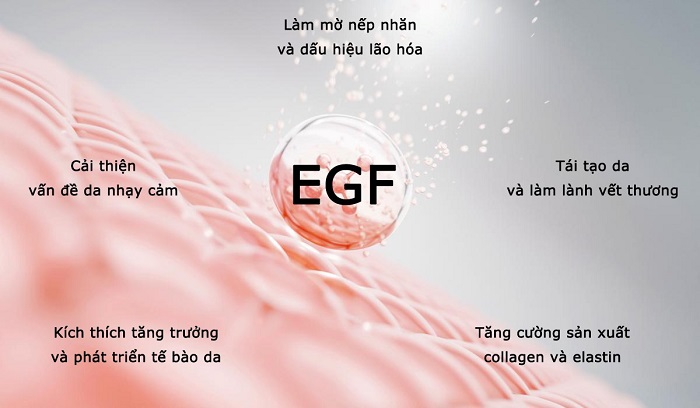 Làn da được cải thiện tình trạng lão hoá, thâm mụn nhờ EGF Làn da được cải thiện tình trạng lão hoá, thâm mụn nhờ EGF
