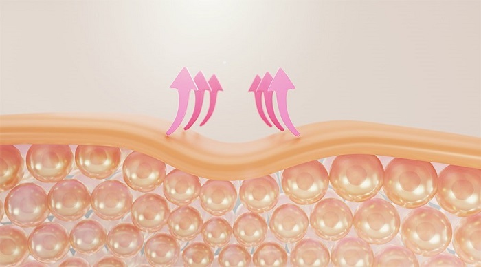 Tác dụng thúc đẩy sản sinh collagen, elastin cho làn da tươi trẻ  Tác dụng thúc đẩy sản sinh collagen, elastin cho làn da tươi trẻ