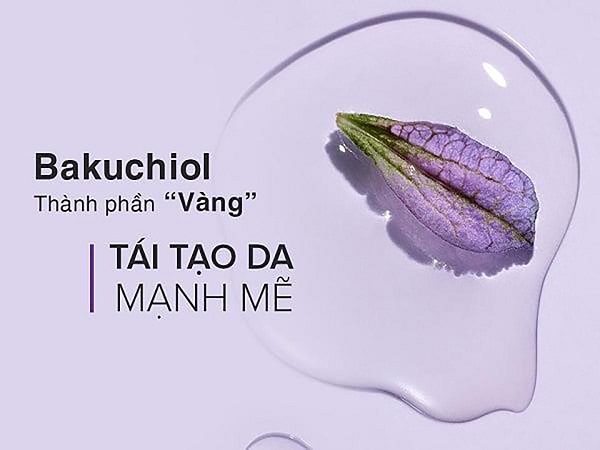Bakuchiol thành phần chống lão hóa tự nhiên 
