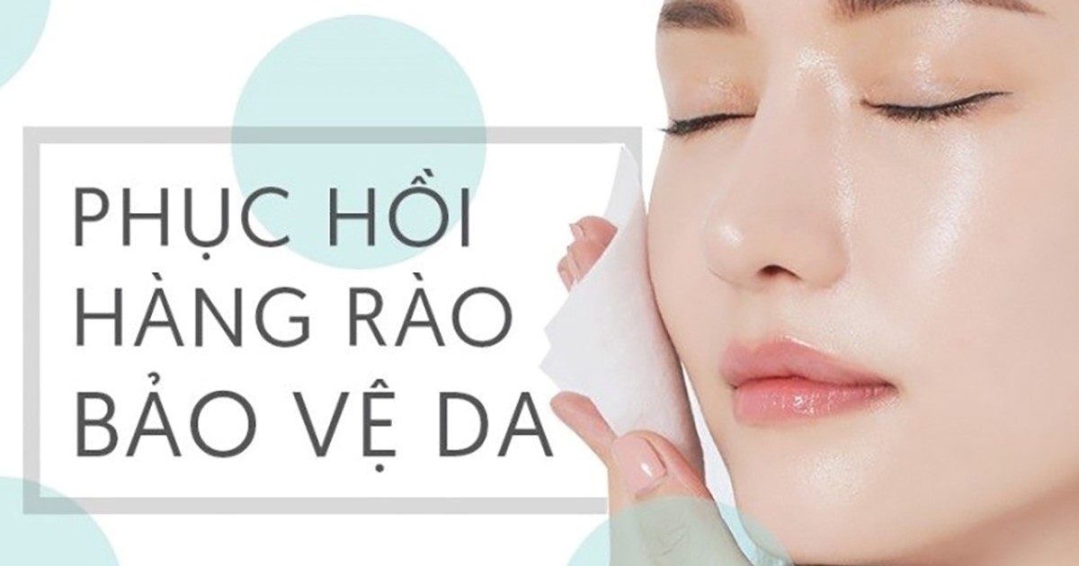 Phục hồi hàng rào bảo vệ  Phục hồi hàng rào bảo vệ