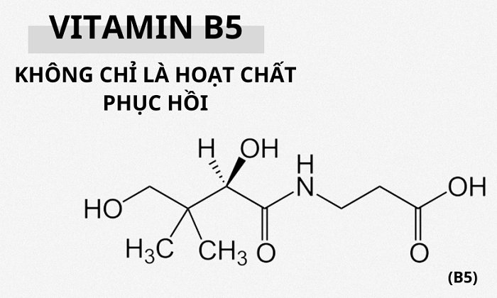 Vitamin B5 là gì? Vitamin B5 có tác dụng gì với làn da? Vitamin B5 là gì? Vitamin B5 có tác dụng gì với làn da?